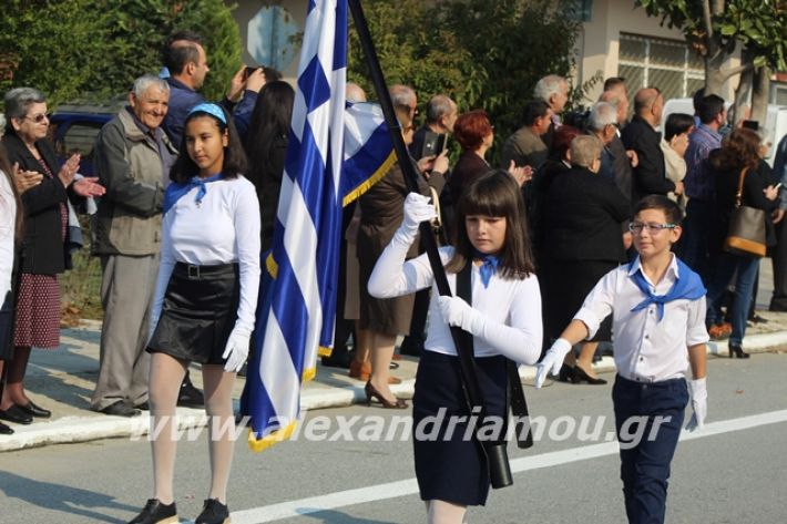 alexandriamou.gr_platu2819106