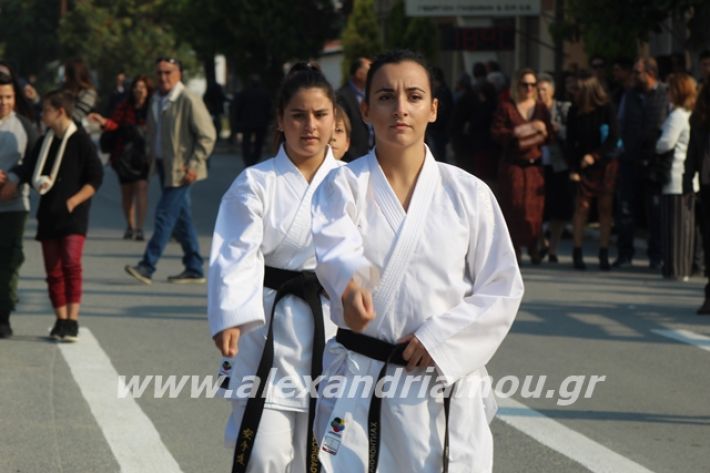 alexandriamou.gr_platu2819202