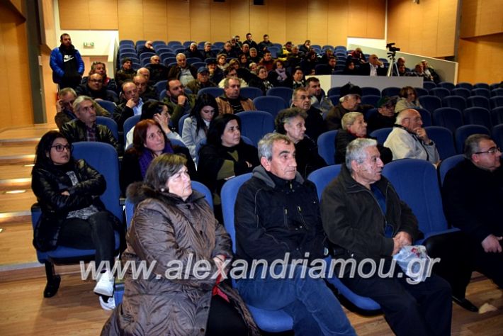 alexandriamou.gr_platu2020vDSC_0172