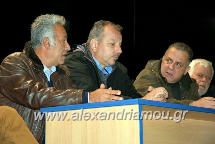 alexandriamou.gr_platu2020vDSC_0181