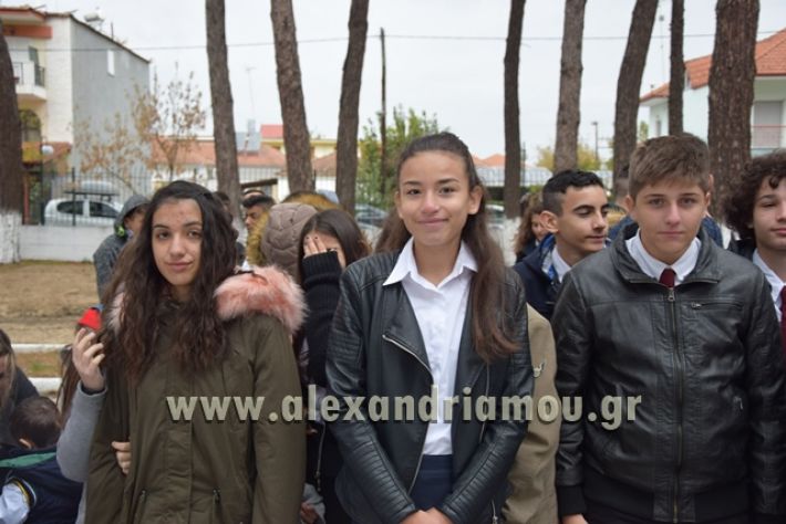 alexandriamou.gr_parelashplatu17009