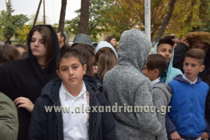 alexandriamou.gr_parelashplatu17015