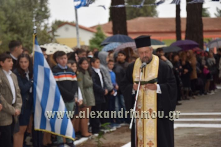 alexandriamou.gr_parelashplatu17035