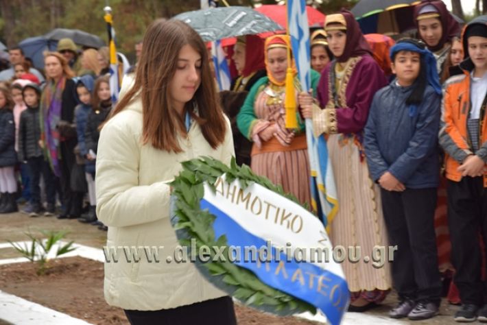 alexandriamou.gr_parelashplatu17052