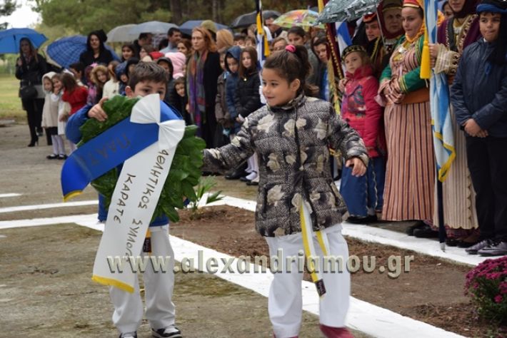 alexandriamou.gr_parelashplatu17074