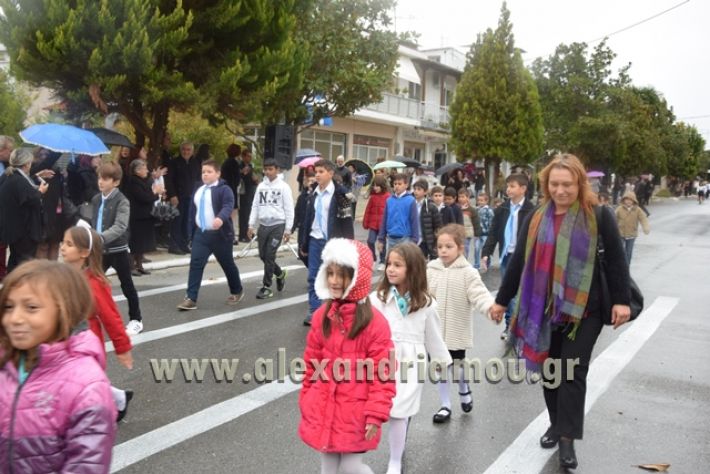 alexandriamou.gr_parelashplatu17110