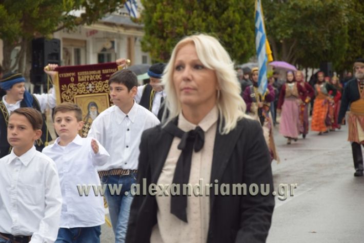 alexandriamou.gr_parelashplatu17145