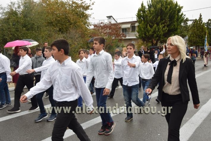 alexandriamou.gr_parelashplatu17147
