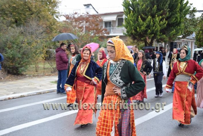 alexandriamou.gr_parelashplatu17157