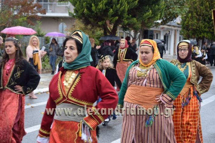 alexandriamou.gr_parelashplatu17159