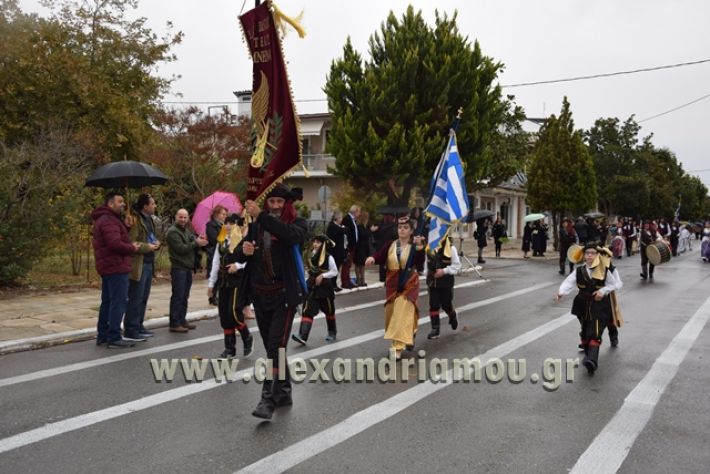 alexandriamou.gr_parelashplatu17163