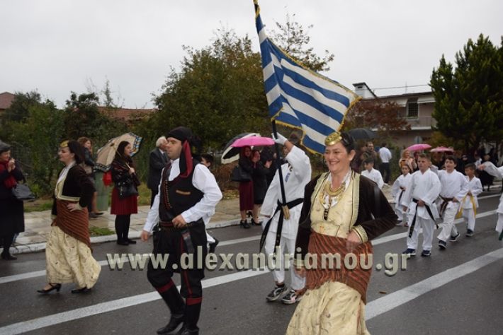 alexandriamou.gr_parelashplatu17176