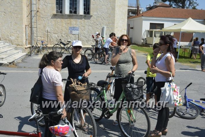 alexandriamou.gr_podilotoporeia3.6.2018006