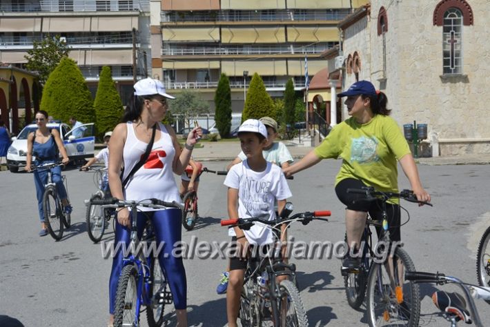 alexandriamou.gr_podilotoporeia3.6.2018024