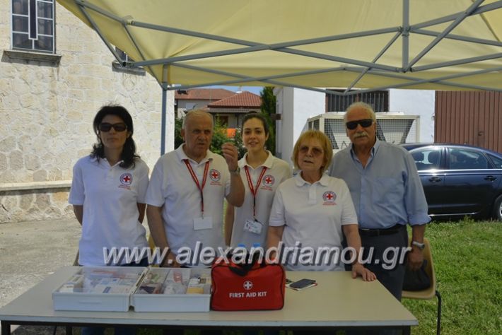 alexandriamou.gr_podilotoporeia3.6.2018025