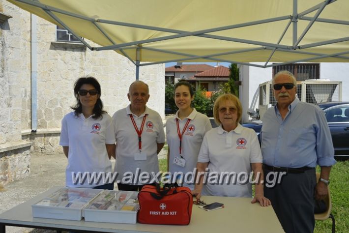 alexandriamou.gr_podilotoporeia3.6.2018028