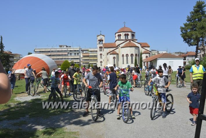 alexandriamou.gr_podilotoporeia3.6.2018035