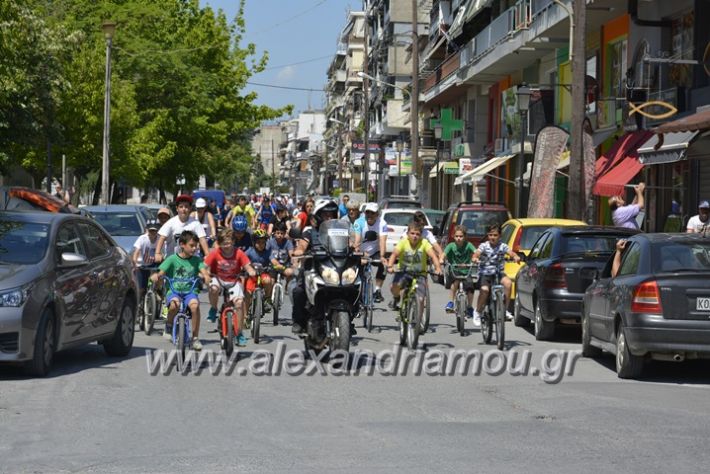 alexandriamou.gr_podilotoporeia3.6.2018042