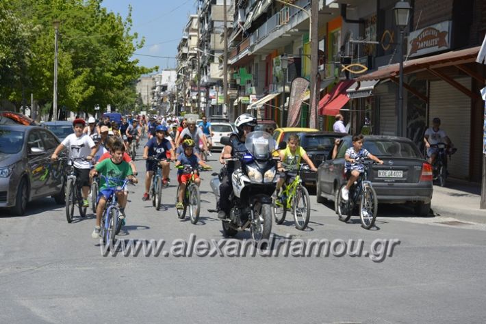 alexandriamou.gr_podilotoporeia3.6.2018043