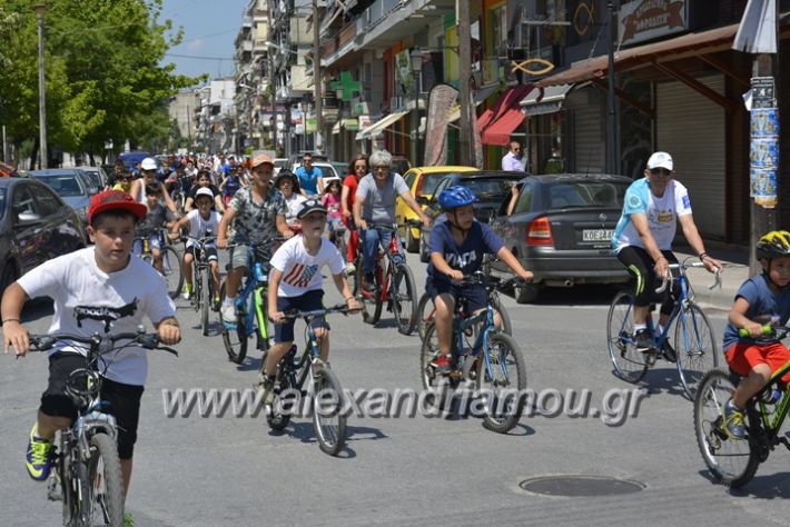 alexandriamou.gr_podilotoporeia3.6.2018044