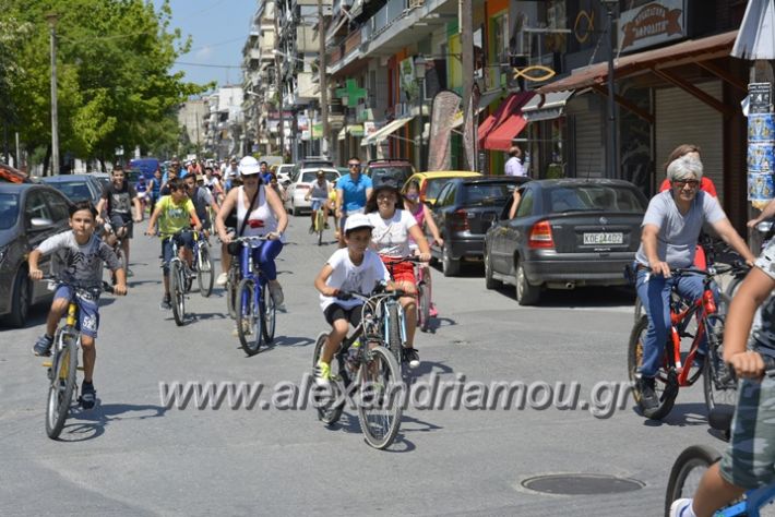 alexandriamou.gr_podilotoporeia3.6.2018045