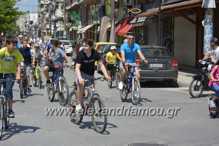 alexandriamou.gr_podilotoporeia3.6.2018046