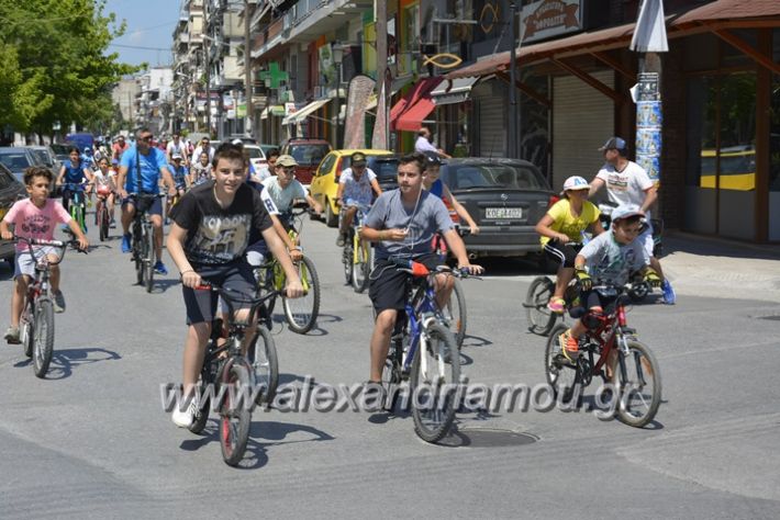 alexandriamou.gr_podilotoporeia3.6.2018047