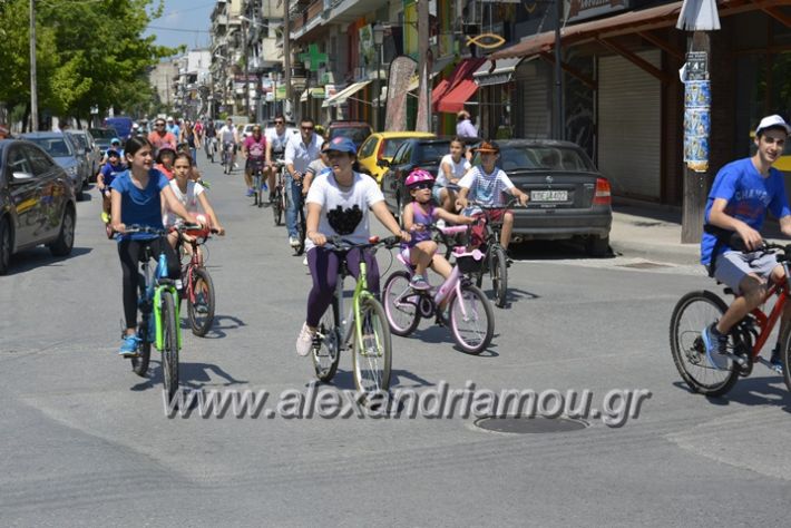 alexandriamou.gr_podilotoporeia3.6.2018049