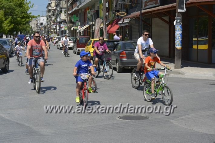 alexandriamou.gr_podilotoporeia3.6.2018051