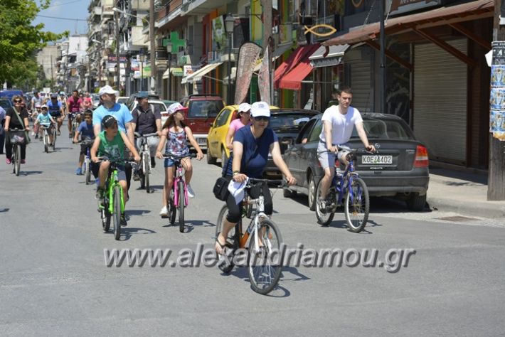 alexandriamou.gr_podilotoporeia3.6.2018053