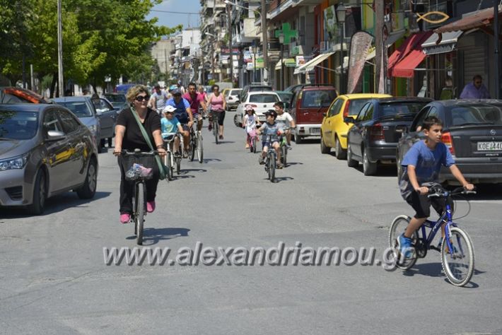 alexandriamou.gr_podilotoporeia3.6.2018054