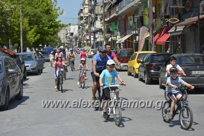 alexandriamou.gr_podilotoporeia3.6.2018055