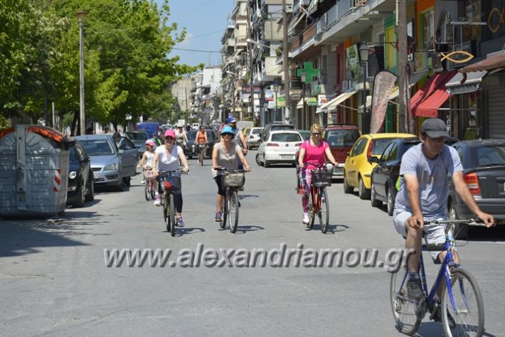 alexandriamou.gr_podilotoporeia3.6.2018056