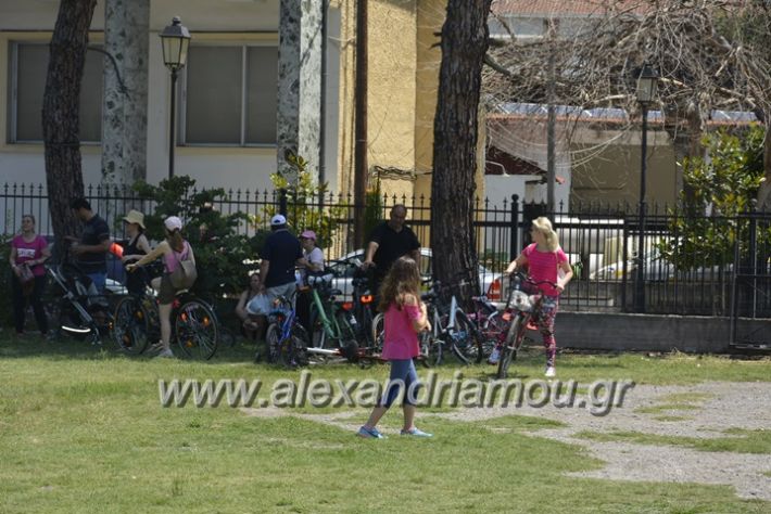 alexandriamou.gr_podilotoporeia3.6.2018078