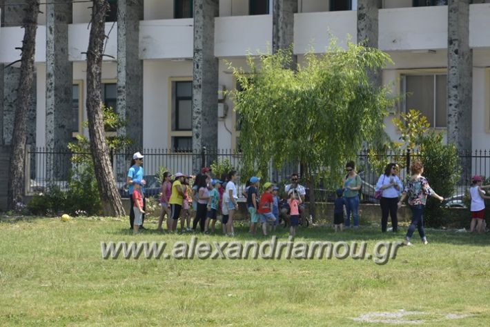 alexandriamou.gr_podilotoporeia3.6.2018080