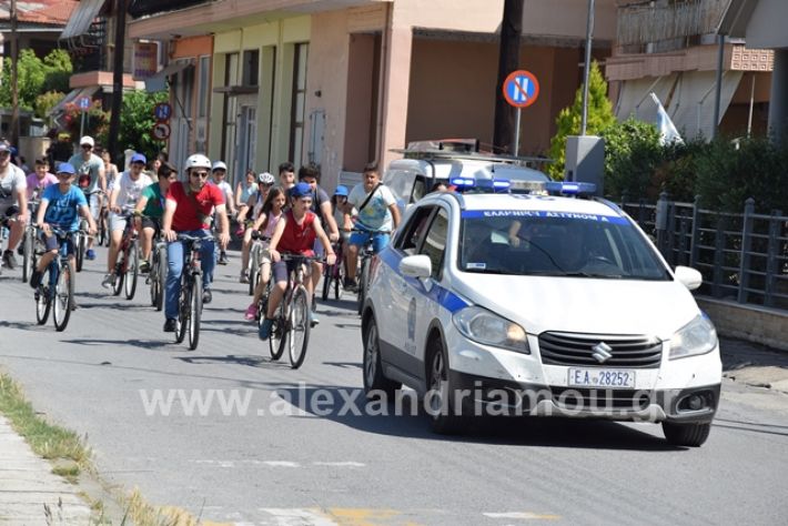 alexandriamou.gr_podilatodromia199022