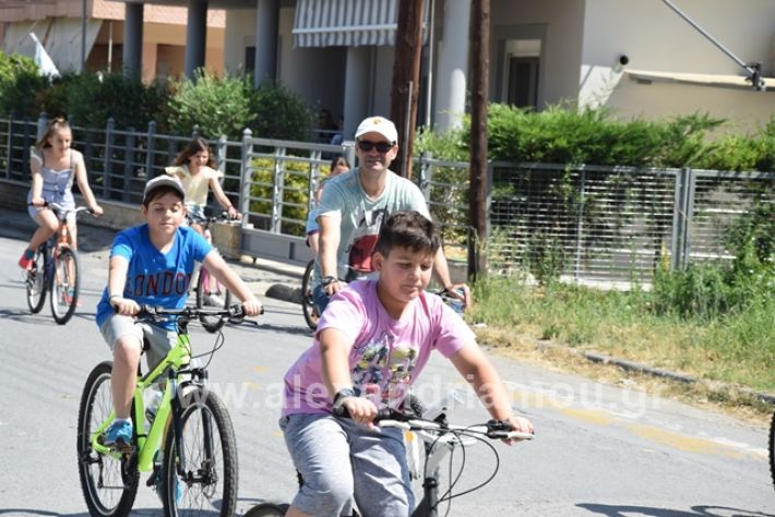 alexandriamou.gr_podilatodromia199030