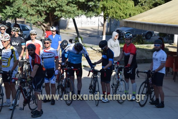 alexandriamou.gr_podilatodromia22013