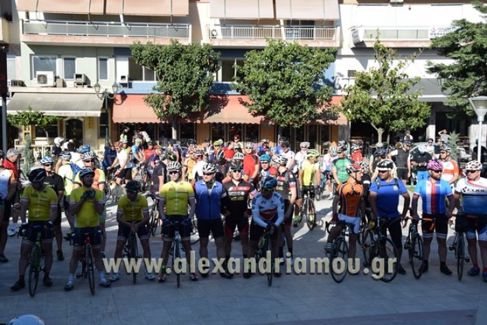 alexandriamou.gr_podilatodromia22015