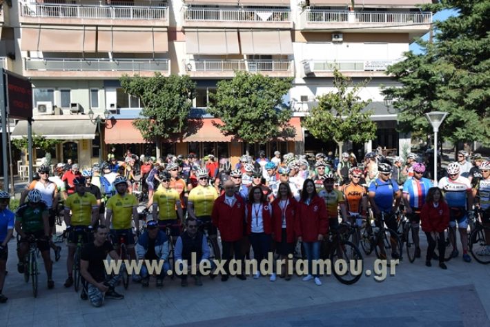 alexandriamou.gr_podilatodromia22025