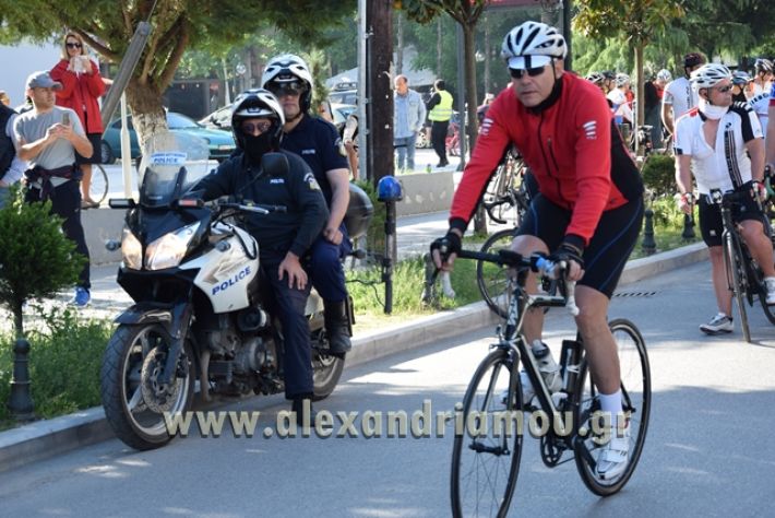 alexandriamou.gr_podilatodromia22040