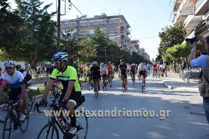 alexandriamou.gr_podilatodromia22042