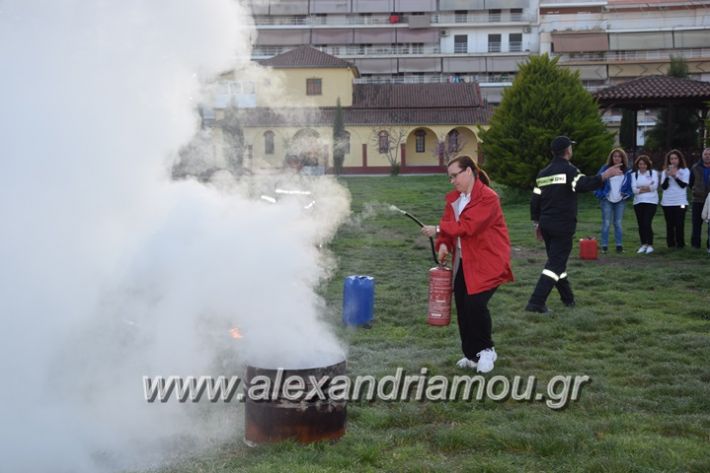 alexandriamou_pirosvestiki90