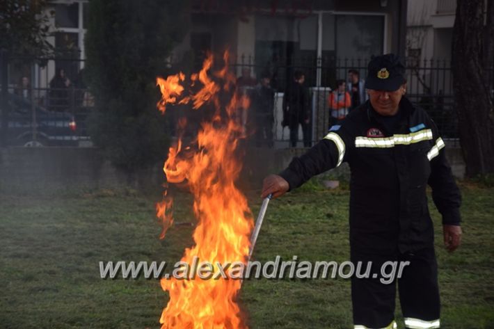 alexandriamou_pirosvestiki91