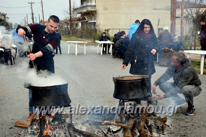 alexandriamou.gr_resiniotes20DSC_0542