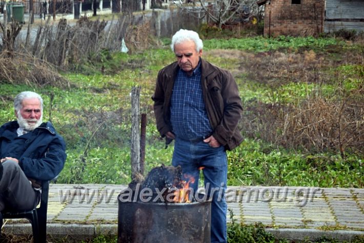 alexandriamou.gr_resiniotes20DSC_0558