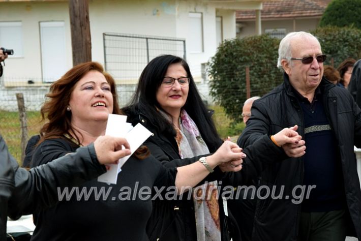 alexandriamou.gr_resiniotes20DSC_0586