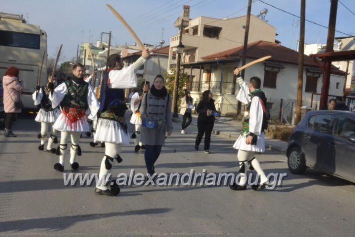 alexandriamou.gr_rogkatsiaestis2018037