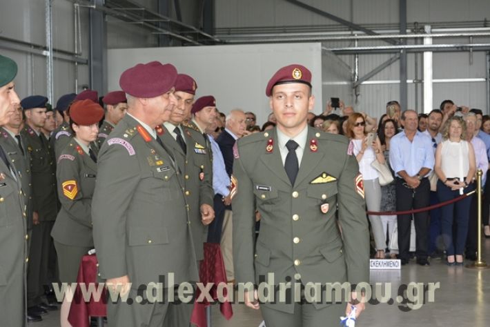 alexandriamou_sas_ptyxia2017_099