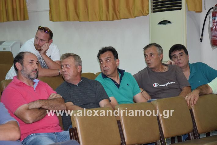 alexandriamou.gr_kinimaDSC_0431